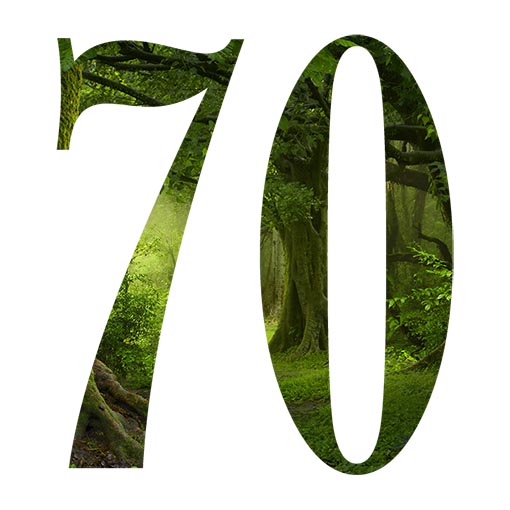 significato numero 70 settanta